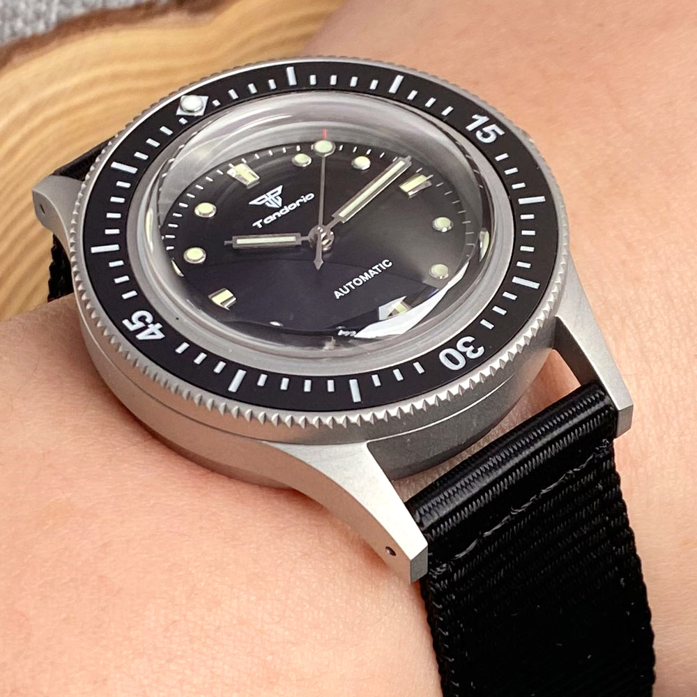 Tandorio Dive Watch Japan NH35 - Seiko Watch Presage 评论和价格